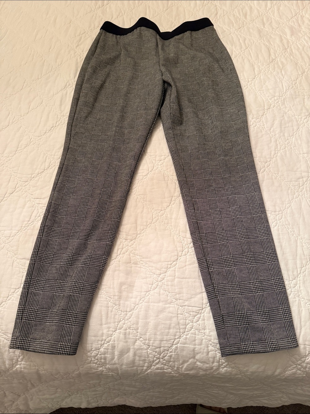 Talbots Gray Knit Ponte Pants with Black Trim